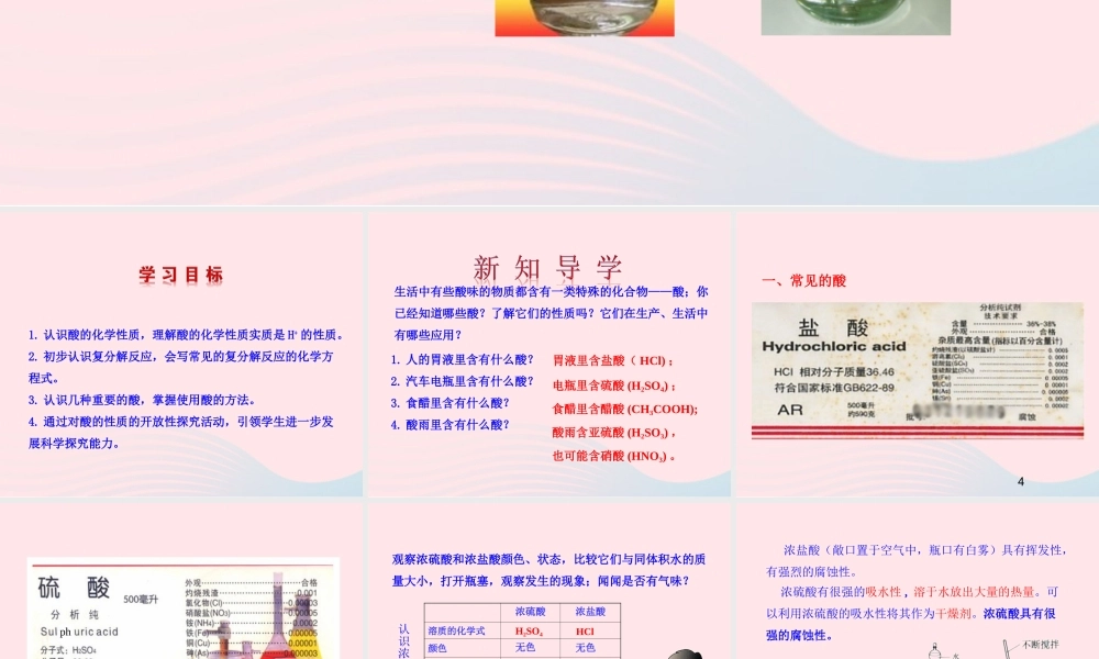 九年级化学下册 第七单元 第一节 酸及其性质课件 鲁教版 课件