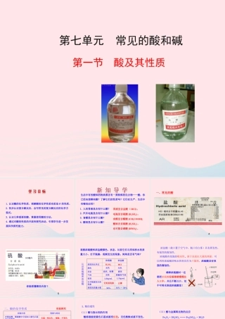 九年级化学下册 第七单元 第一节 酸及其性质课件 鲁教版 课件