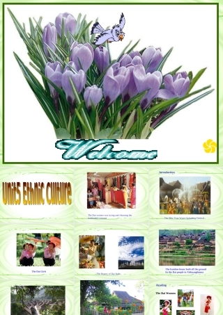 Module 5 Ethnic Culture[TY]ppt 新课标外研英语选修七全部课件二