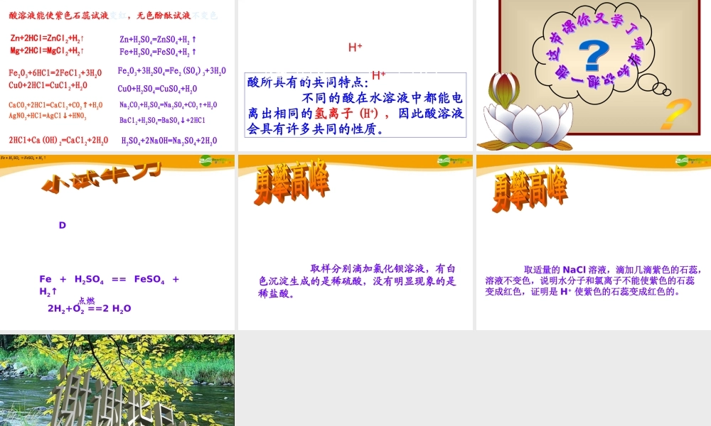 九年级化学 酸和碱的性质课件 鲁教版 课件