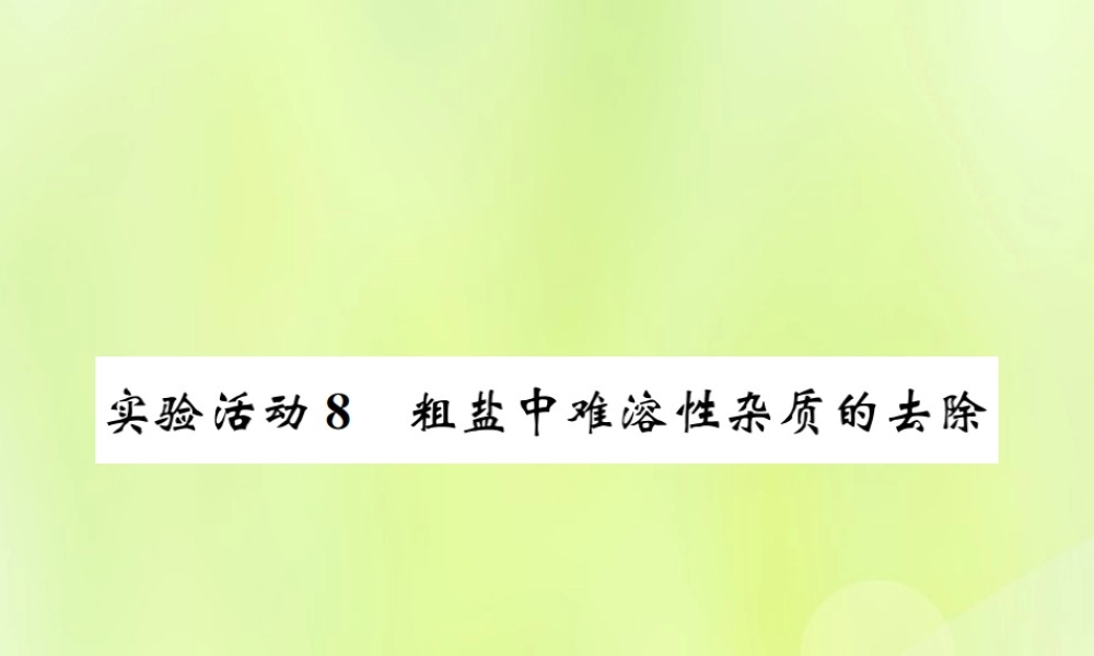 九年级化学下册 第十一单元 盐 化肥 实验活动8 粗盐中难溶性杂质的去除复习课件 (新版)新人教版 课件