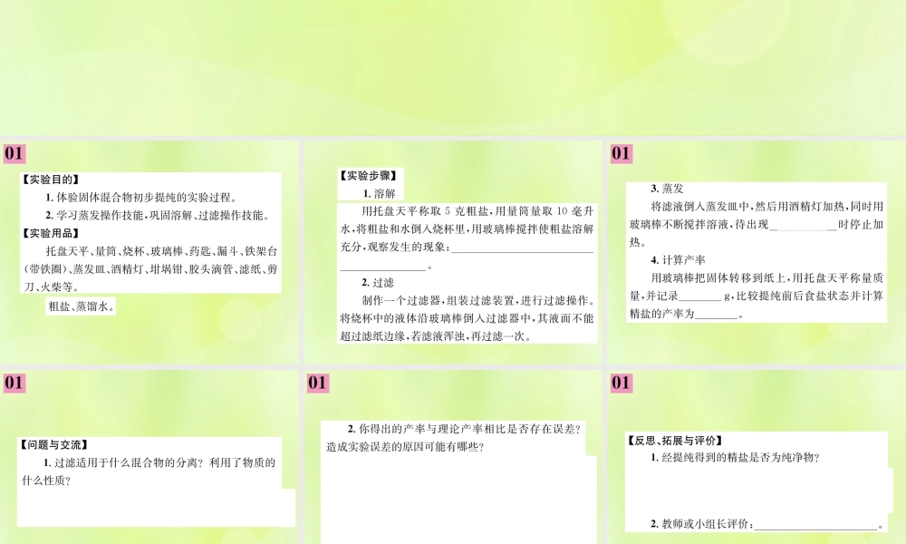 九年级化学下册 第十一单元 盐 化肥 实验活动8 粗盐中难溶性杂质的去除复习课件 (新版)新人教版 课件