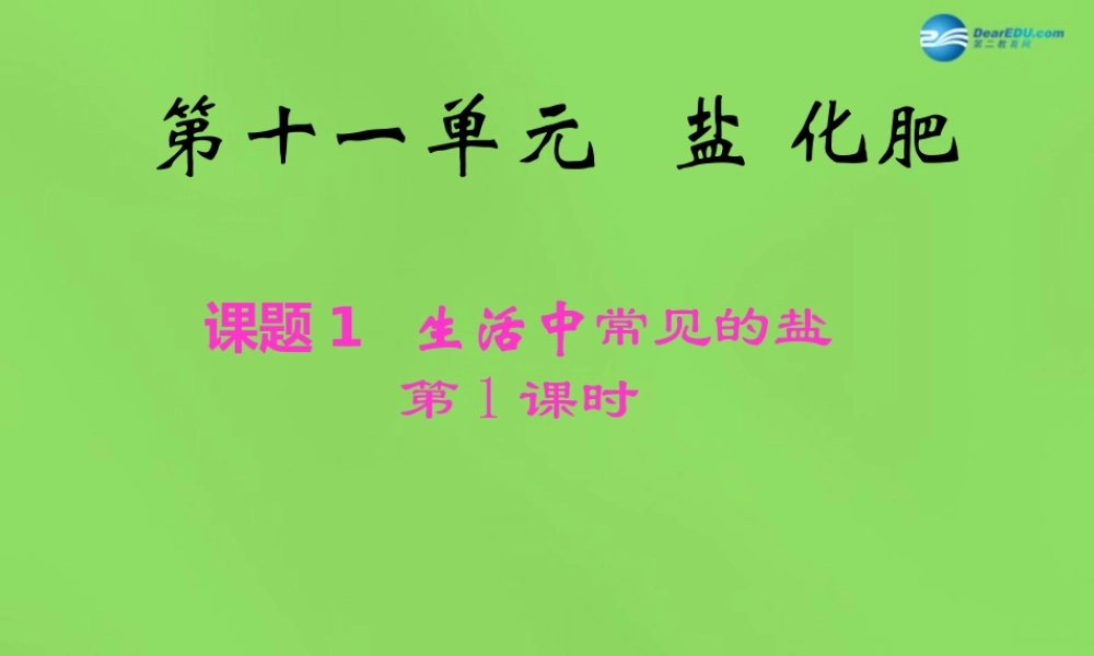 九年级化学下册 第十一单元 课题1 生活中常见的盐课件2 新人教版 课件