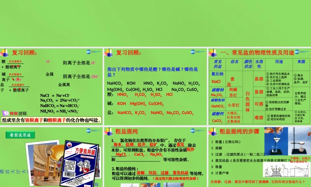 九年级化学下册 第十一单元 课题1 生活中常见的盐课件2 新人教版 课件