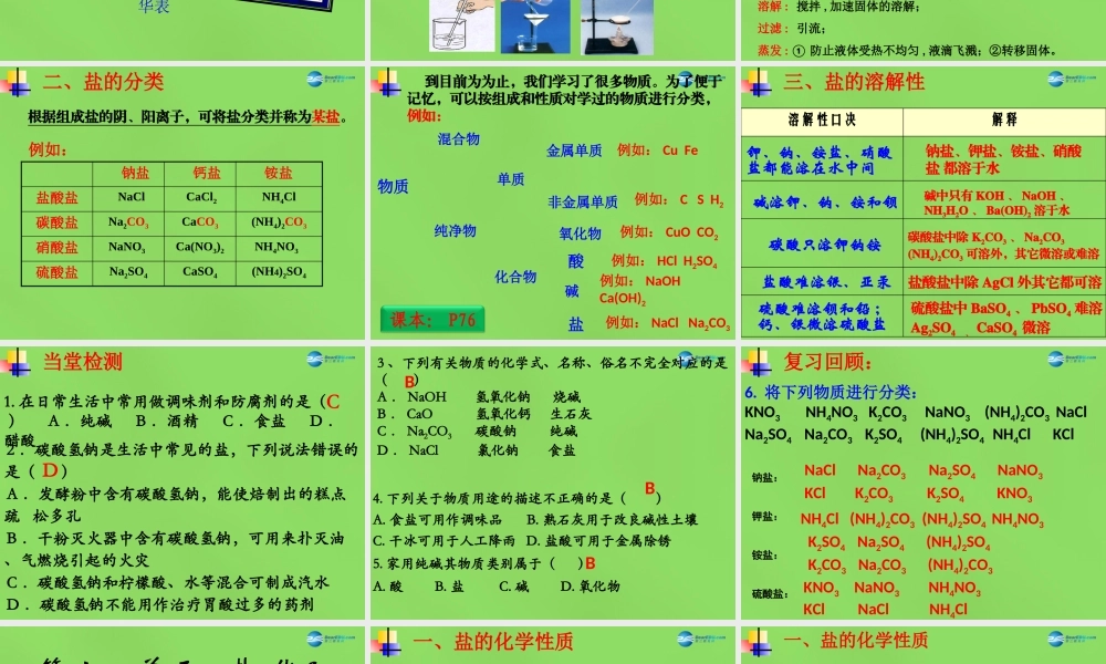 九年级化学下册 第十一单元 课题1 生活中常见的盐课件2 新人教版 课件