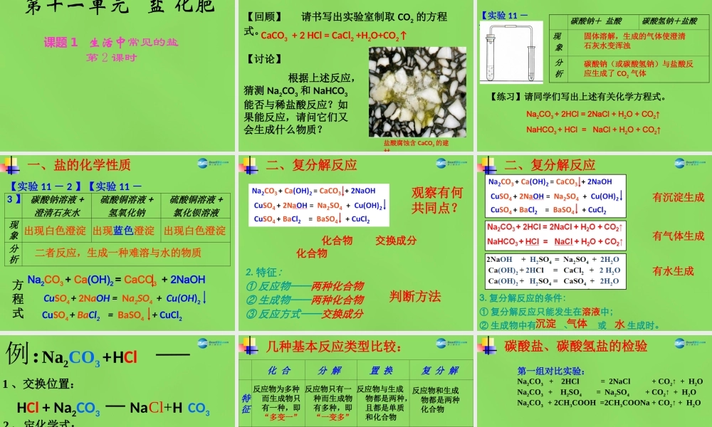 九年级化学下册 第十一单元 课题1 生活中常见的盐课件2 新人教版 课件