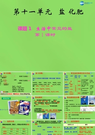 九年级化学下册 第十一单元 课题1 生活中常见的盐课件2 新人教版 课件
