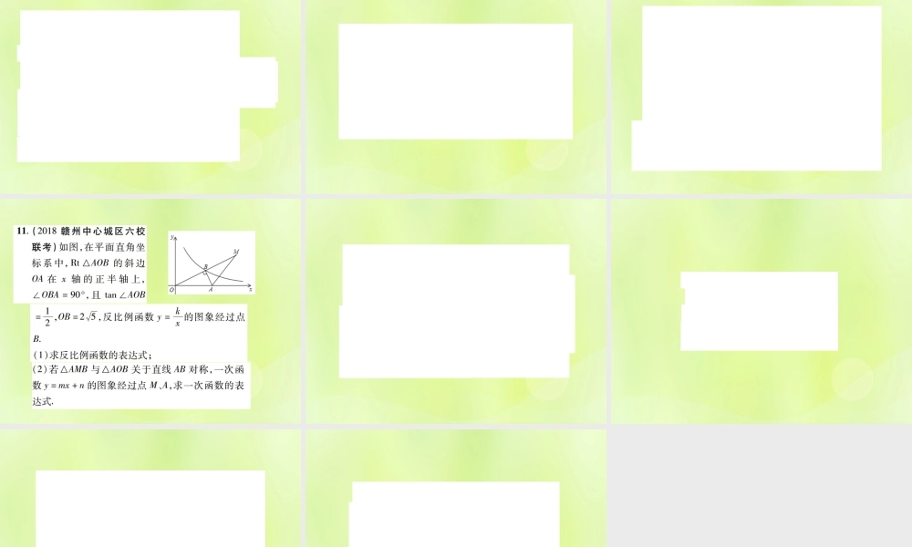 中考数学总复习 第三单元 函数及其图象 第11课时 反比例函数及其应用(高效集训本)课件