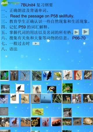 中考英语复习专题 7BUnit4复习课件