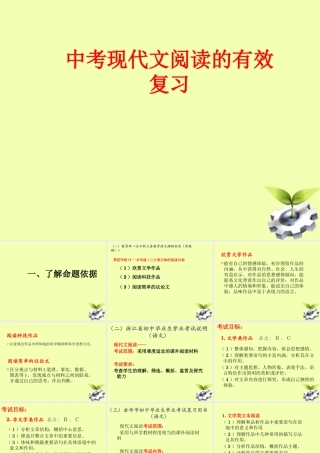 中考语文 现代文阅读的有效复习课件 人教新课标版 课件