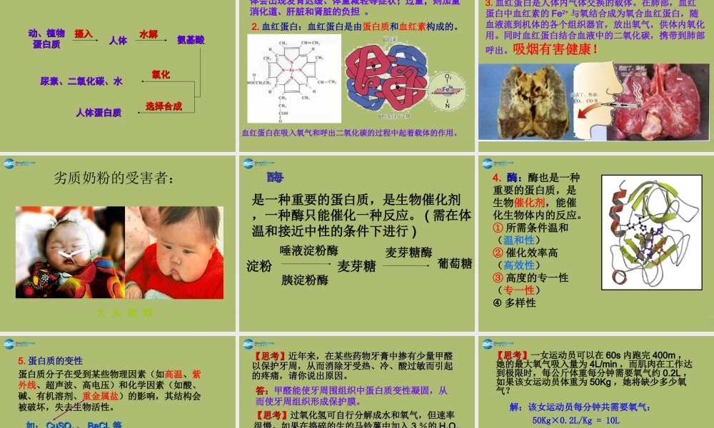 九年级化学下册 101 食品中的有机营养素课件4 粤教版 课件