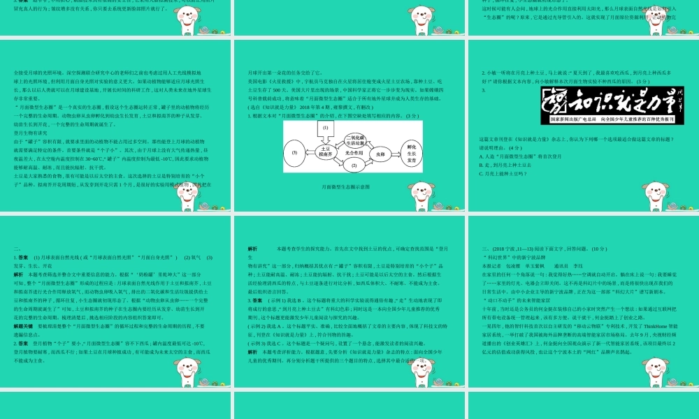中考语文总复习 第三部分 现代文阅读 专题十 非文学作品阅读 说明类文本(试题部分)课件