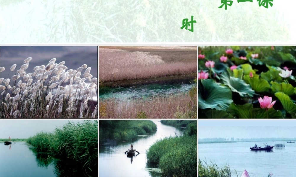 (芦花荡)教学课件1 八年级语文上册第一单元(芦花荡)课件7套人教版 八年级语文上册第一单元(芦花荡)课件7套人教版