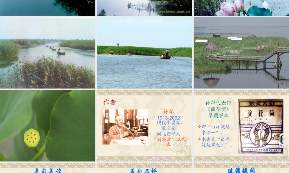 (芦花荡)教学课件1 八年级语文上册第一单元(芦花荡)课件7套人教版 八年级语文上册第一单元(芦花荡)课件7套人教版