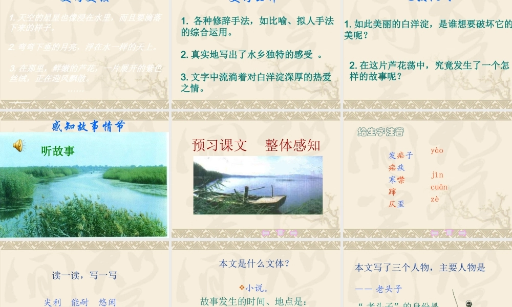 (芦花荡)教学课件1 八年级语文上册第一单元(芦花荡)课件7套人教版 八年级语文上册第一单元(芦花荡)课件7套人教版