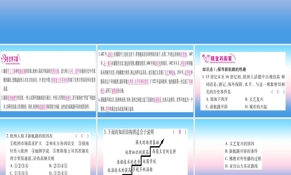 九年级历史上册 第5单元 步入近代 第15课 探寻新航路习题课件 新人教版 课件