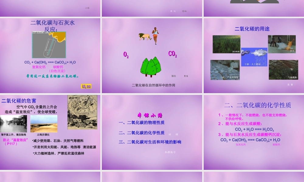 九年级化学上册 62 二氧化碳的性质课件2 (新版)新人教版 课件