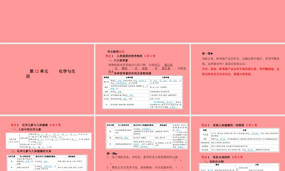 (潍坊专版)中考化学总复习 第一部分 系统复习 成绩基石 第十二单元 化学与生活课件 新人教版 课件