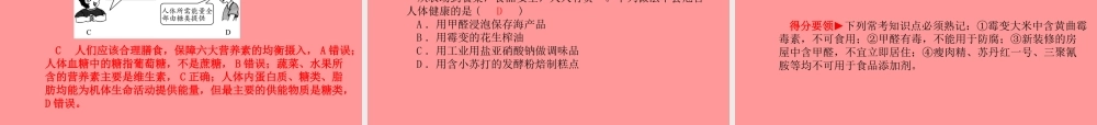 (潍坊专版)中考化学总复习 第一部分 系统复习 成绩基石 第十二单元 化学与生活课件 新人教版 课件