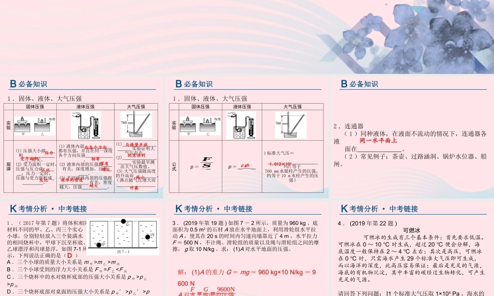 中考物理总复习 第一轮 基础过关 瞄准考点第7讲 压强课件