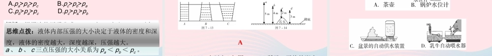 中考物理总复习 第一轮 基础过关 瞄准考点第7讲 压强课件