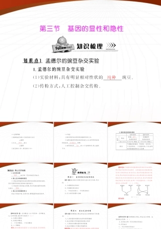 (随堂优化训练)八年级生物下册 第七单元 第二章 第三节 基因的显性和隐性 配套课件 人教新课标版 课件