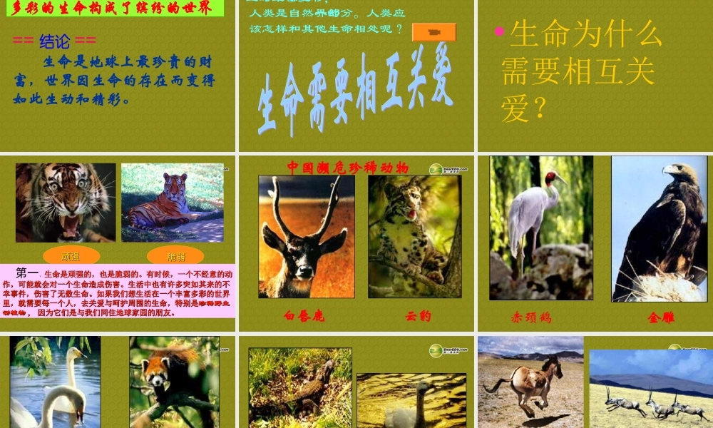 七年级政治上册 思品第三课第一框世界因生命而精彩课件 新人教版 课件