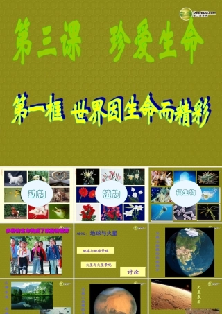 七年级政治上册 思品第三课第一框世界因生命而精彩课件 新人教版 课件