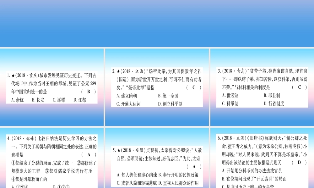 (甘肃专用)中考历史总复习 第一篇 考点系统复习 板块一 中国古代史 主题四 繁荣与开放的时代(精练)课件