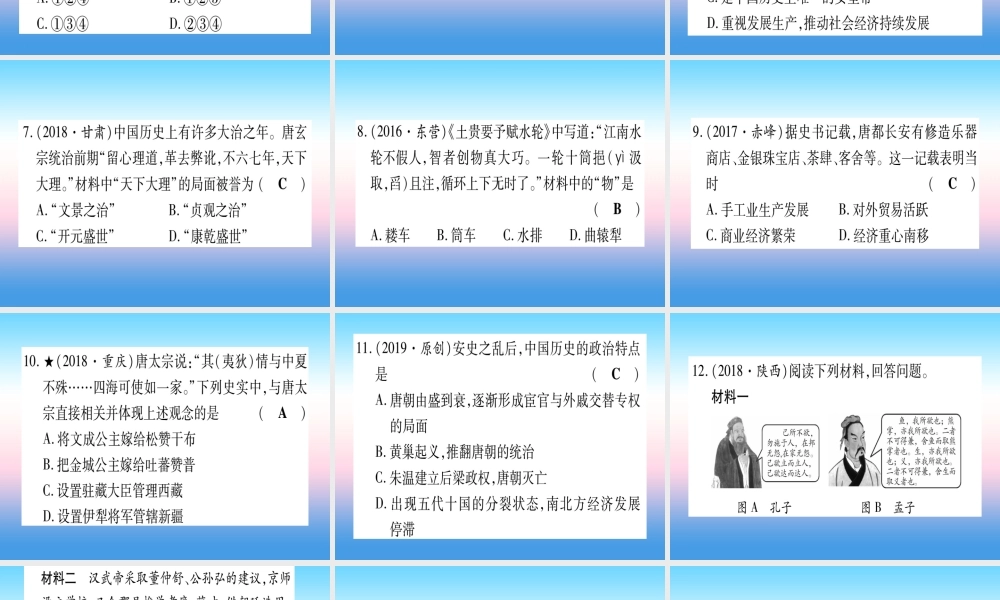 (甘肃专用)中考历史总复习 第一篇 考点系统复习 板块一 中国古代史 主题四 繁荣与开放的时代(精练)课件