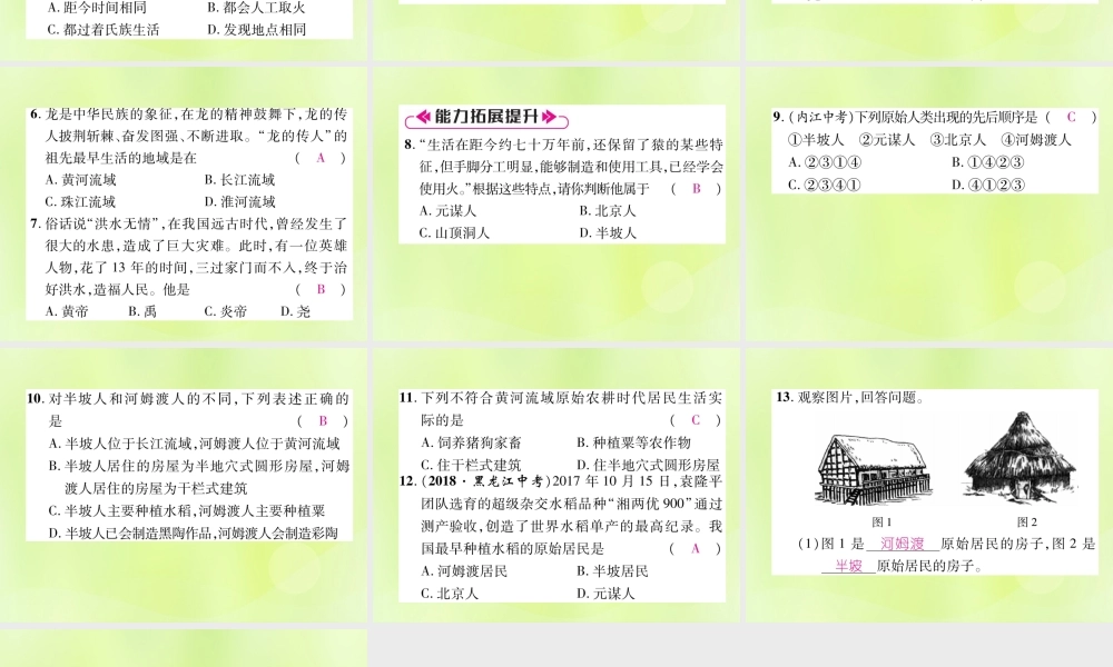 七年级历史上册 第1单元 史前时期：中国境内人类的活动总结提升课件 新人教版 课件