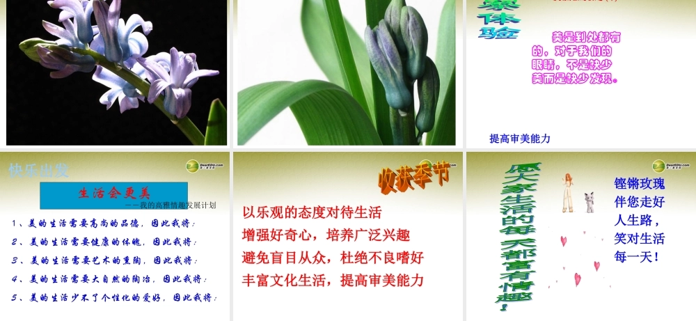 七年级政治下册 第六单元第十四课第一框 过富有情趣的生活课件 鲁教版 课件