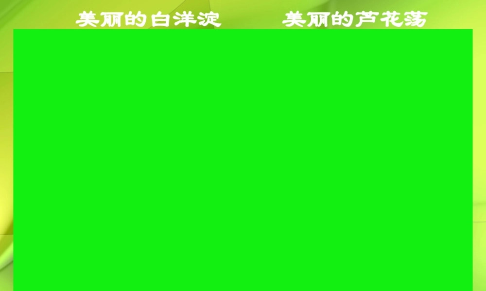 (芦花荡)教学课件4 八年级语文上册第一单元(芦花荡)课件7套人教版 八年级语文上册第一单元(芦花荡)课件7套人教版