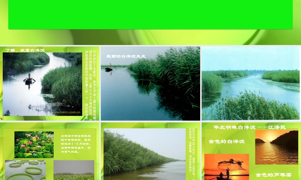 (芦花荡)教学课件4 八年级语文上册第一单元(芦花荡)课件7套人教版 八年级语文上册第一单元(芦花荡)课件7套人教版