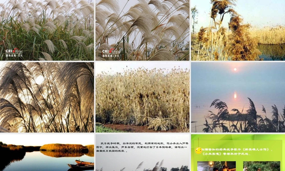 (芦花荡)教学课件4 八年级语文上册第一单元(芦花荡)课件7套人教版 八年级语文上册第一单元(芦花荡)课件7套人教版