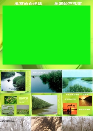 (芦花荡)教学课件4 八年级语文上册第一单元(芦花荡)课件7套人教版 八年级语文上册第一单元(芦花荡)课件7套人教版