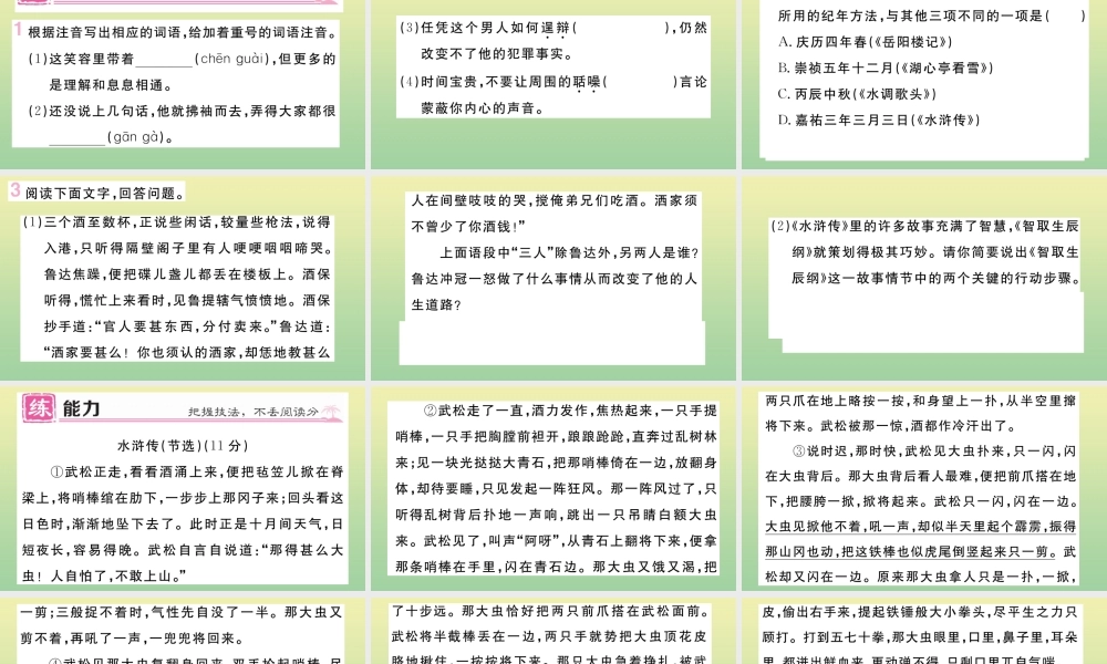 (河北专版)九年级语文上册 第六单元 21 智取生辰纲作业课件 新人教版 课件