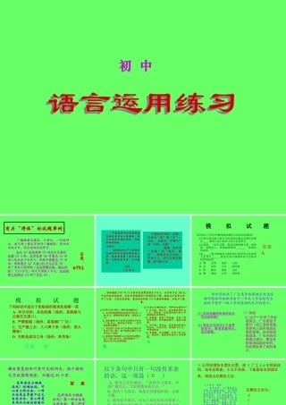 中考语文复习 语言训练课件