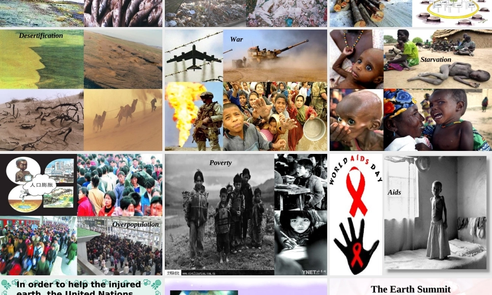 unit 9英语课件 3 高二英语Unit9课件[整理三套]人教版 高二英语Unit9课件[整理三套]人教版