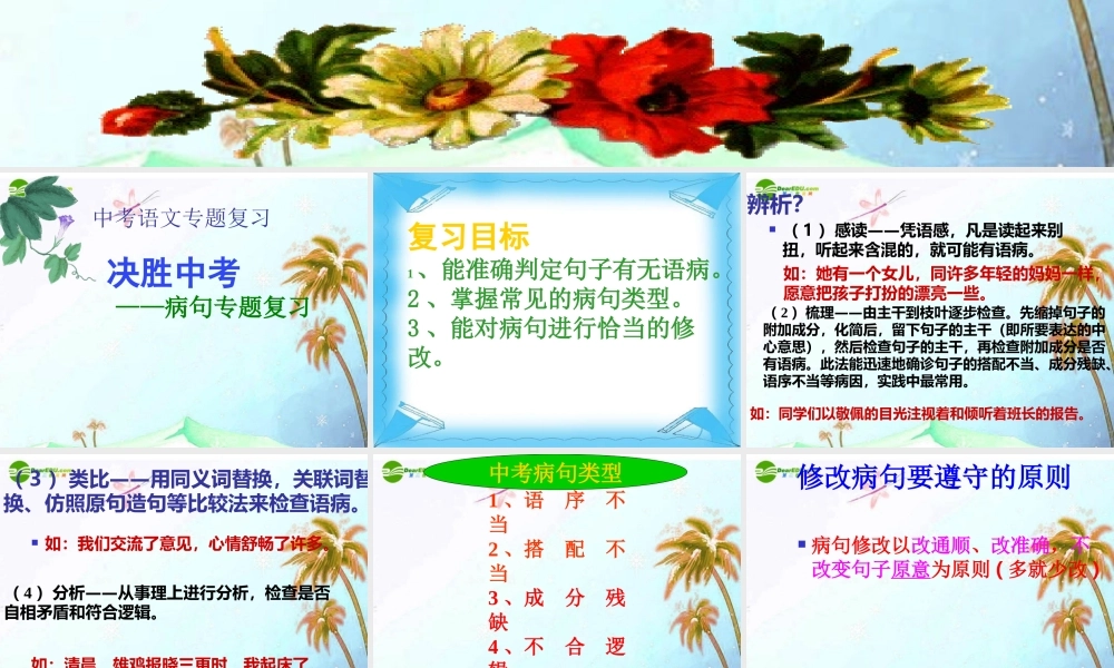 中考语文复习专题课件 病句专题复习 课件