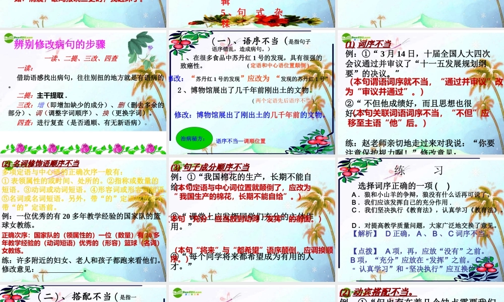 中考语文复习专题课件 病句专题复习 课件