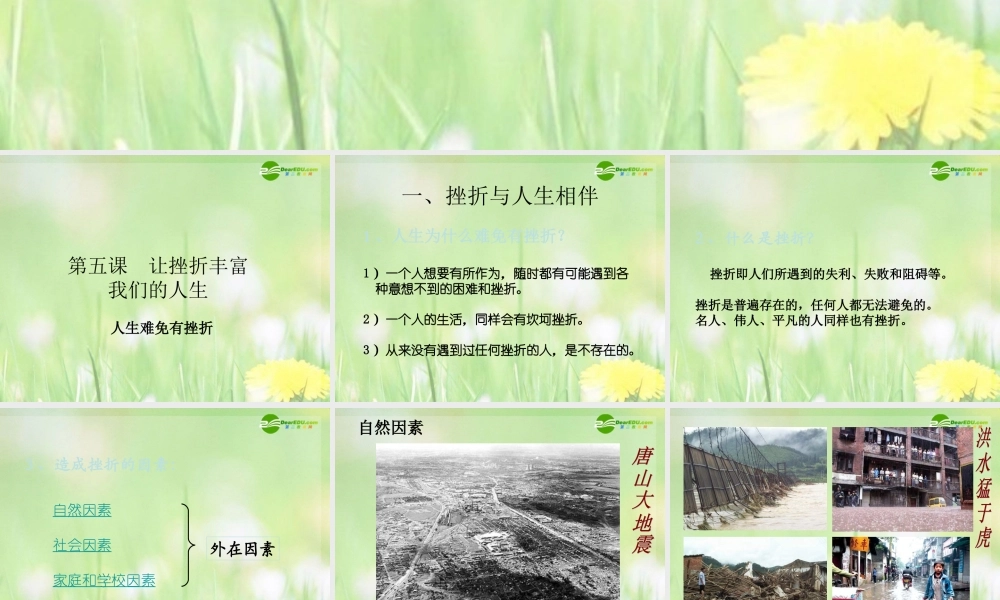 七年级政治下册 让挫折丰富我们的人生课件 人教新课标版 课件