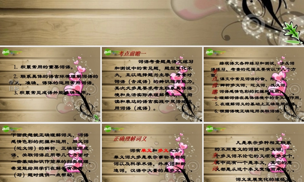 中考语文复习 词语要点及解题指导课件