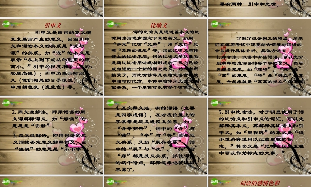 中考语文复习 词语要点及解题指导课件