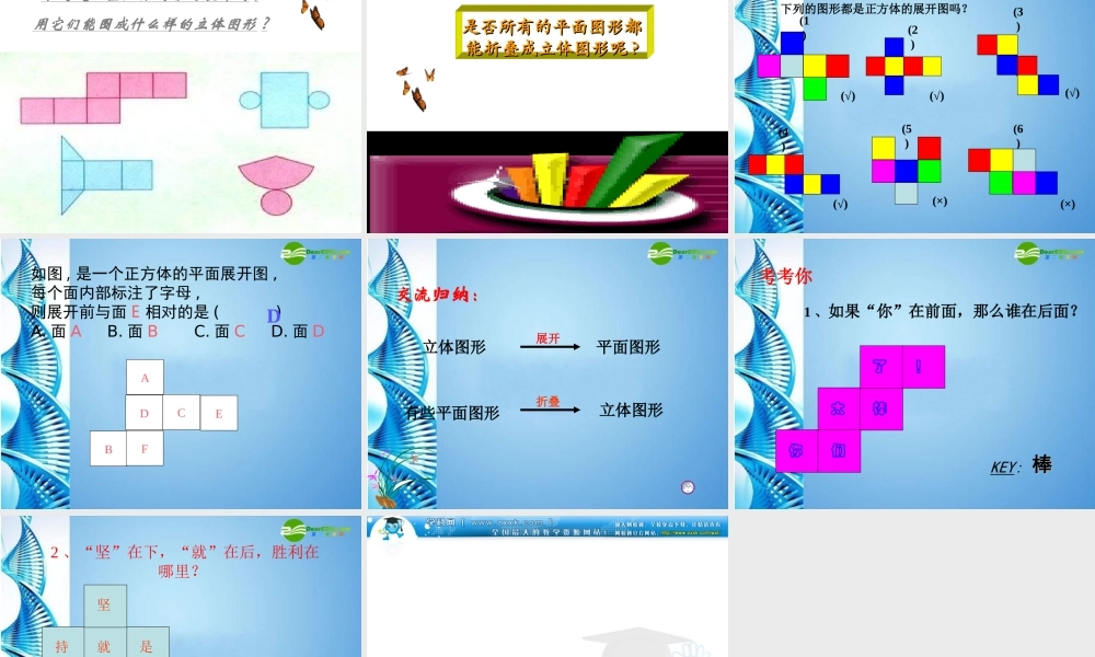 七年级数学上册 (几何体的表面展开图)课件 冀教版 课件