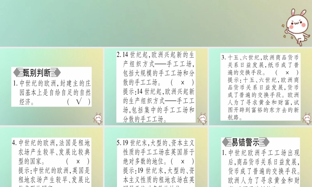 九年级历史上册 第3单元 近代早期的西欧 第11课 近代早期西欧社会课件 中华书局版 课件