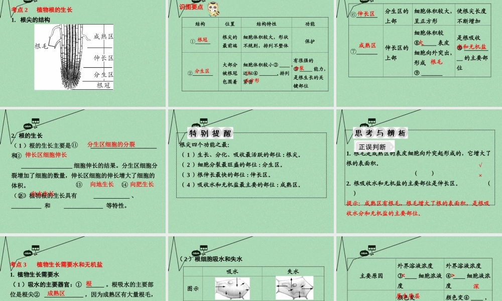 中考生物 第一部分 教材知识梳理 第3单元 第5章 绿色植物的一生复习课件 苏教版 课件