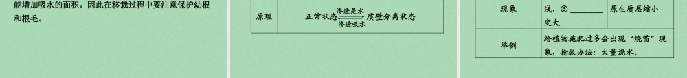 中考生物 第一部分 教材知识梳理 第3单元 第5章 绿色植物的一生复习课件 苏教版 课件