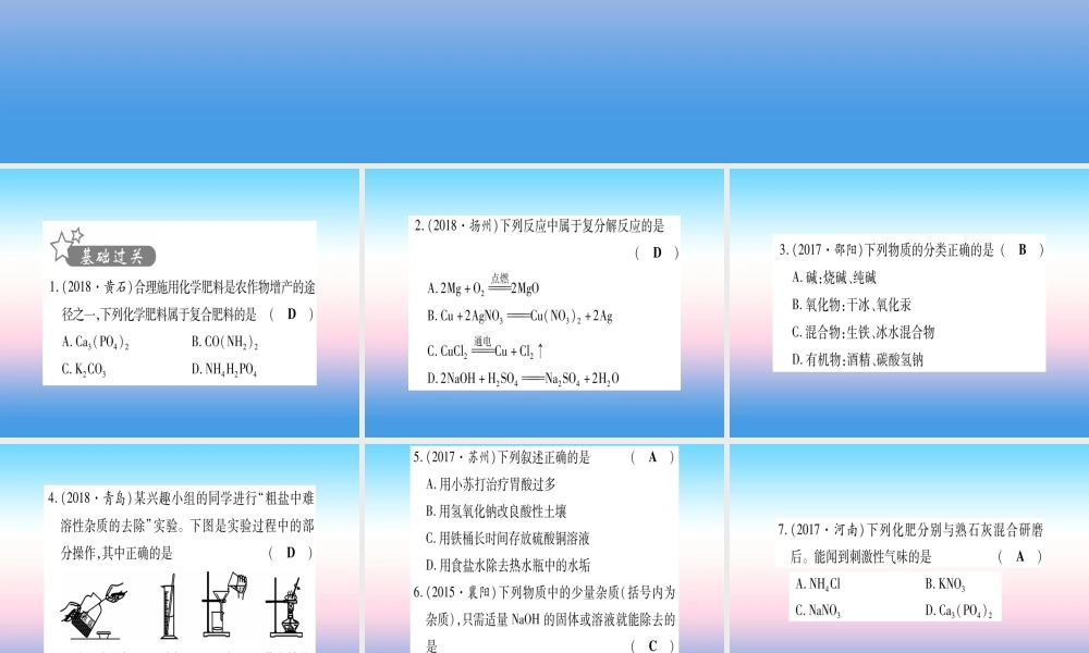 (湖北专版)中考化学总复习 第1部分 教材系统复习 九下 第11单元 盐 化肥习题课件1 课件