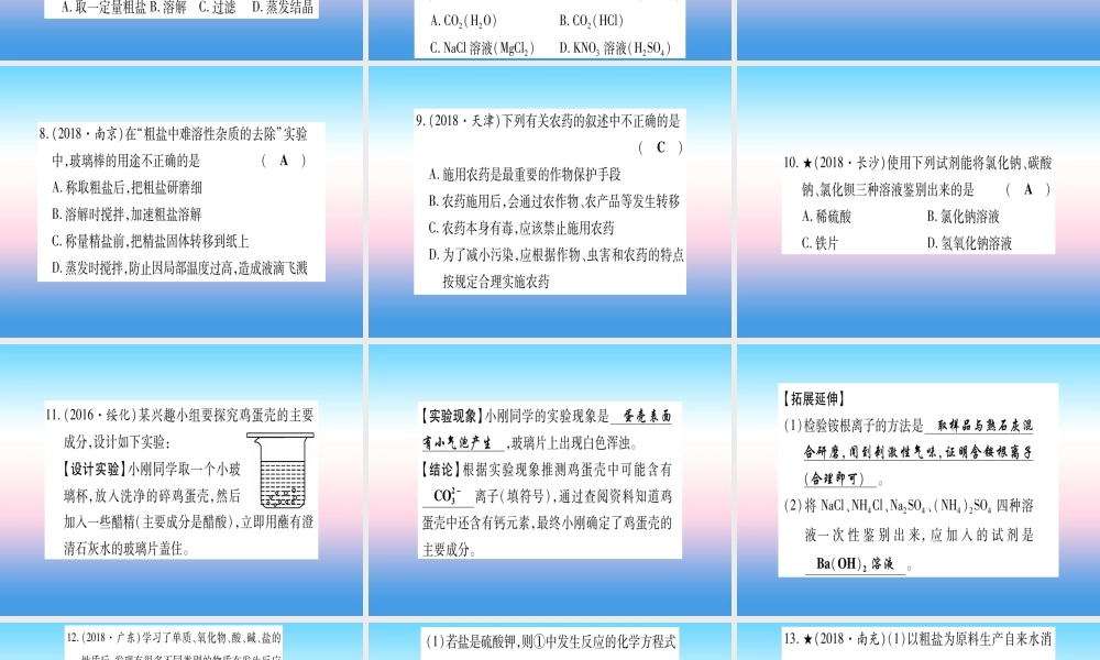 (湖北专版)中考化学总复习 第1部分 教材系统复习 九下 第11单元 盐 化肥习题课件1 课件